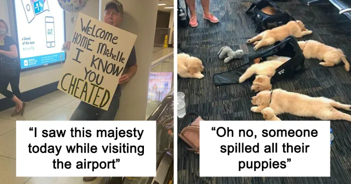 Here's A List Of 50 Hilarious, Heartwarming And Straight-Up Bizarre Pics Taken In Airports