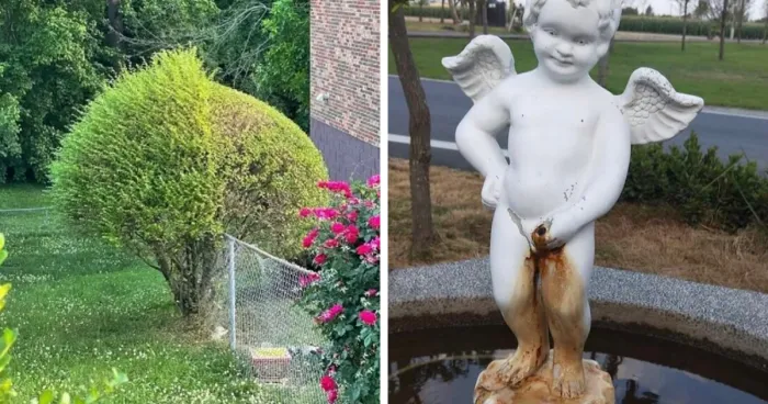 35 Times People Went Out Of Their Way To Make Their Gardens And Yards Unique But Ended Up With These (New Pics)