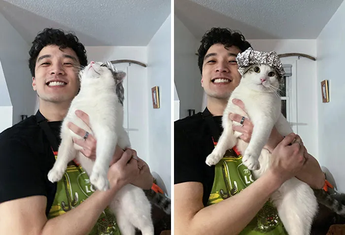 Mi novio le hizo a nuestro gatito un gorrito de papel de aluminio