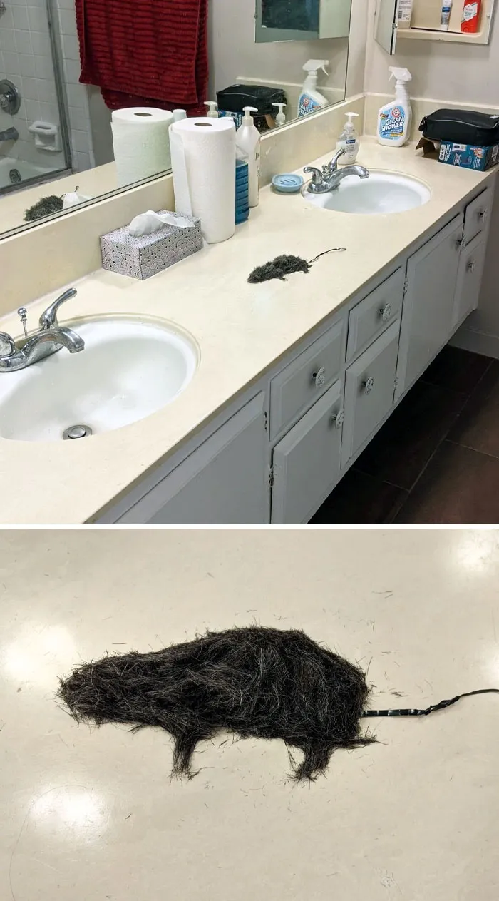My Husband Got Me Good With A Rat He Made From Clipping His Hair