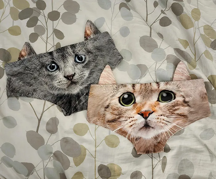 Le pregunté a mi mujer qué quería para su cumpleaños y me dijo: "Cosas de gatos". Creo que acerté