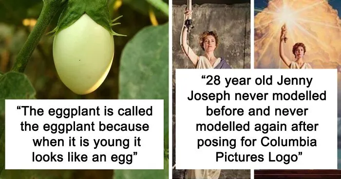 30 Fun And Interesting Facts To Share With Your Work Bestie