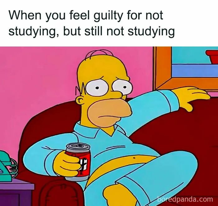 'Educational Memes': 35 Posts That Might Hit The Spot If You're Still In School