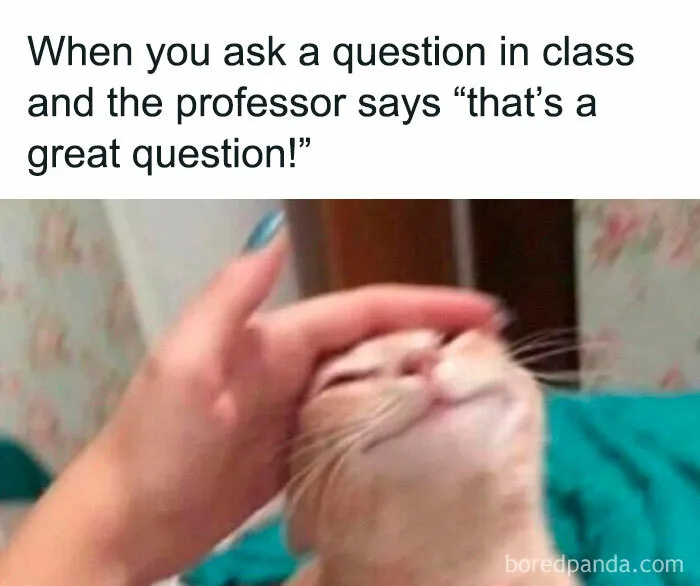 'Educational Memes': 35 Posts That Might Hit The Spot If You're Still In School