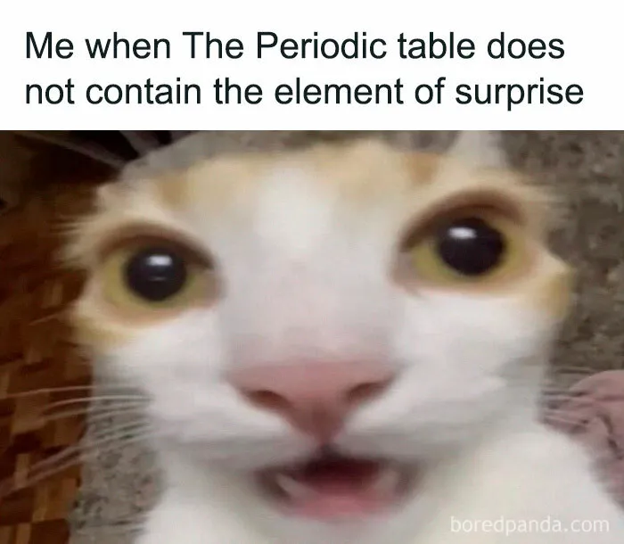 'Educational Memes': 35 Posts That Might Hit The Spot If You're Still In School