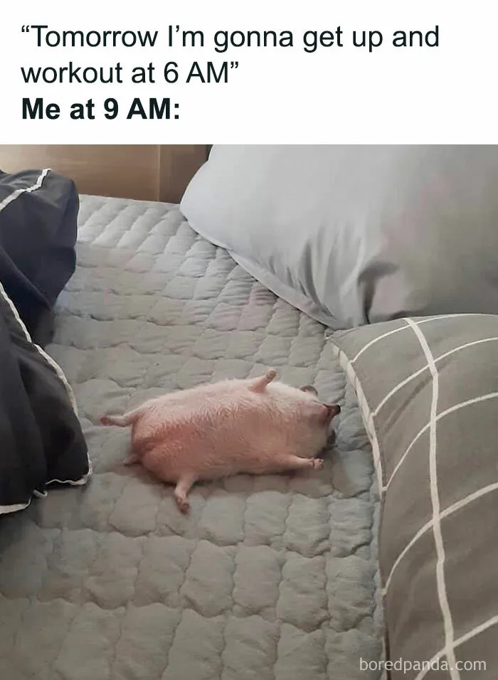 30 Hilarious Memes We Found On These Instagram Pages