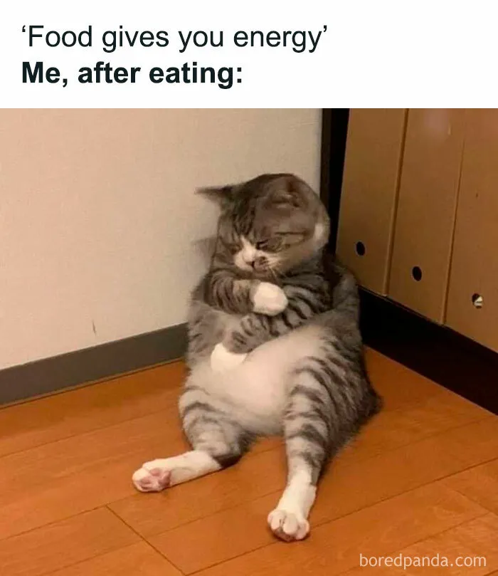 30 Hilarious Memes We Found On These Instagram Pages