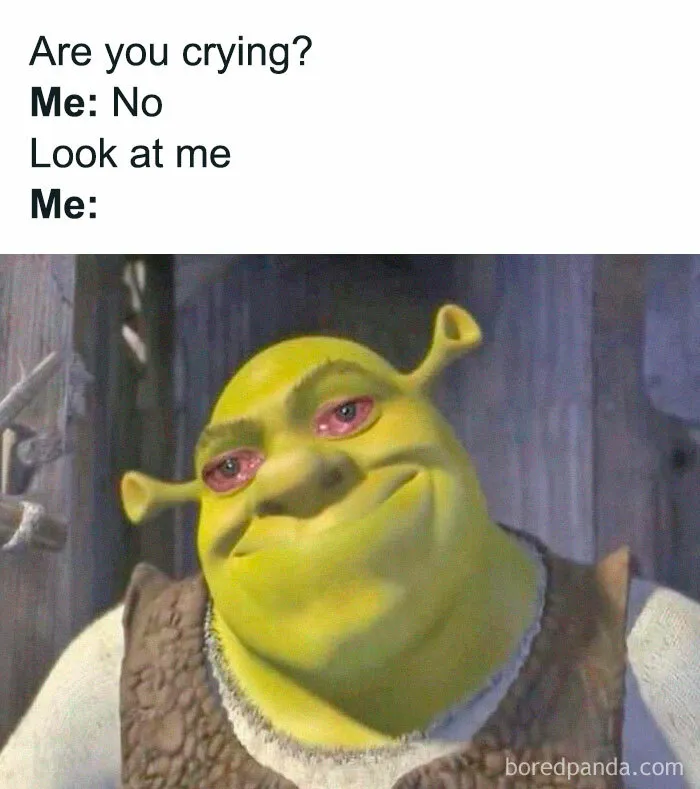 Shrek meme from Instagram with teary eyes and a smile, funny and relatable moment.