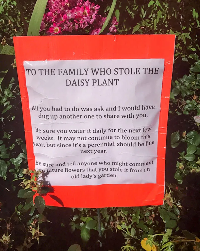 My Friend's Mom Is Extremely Passive-Aggressive