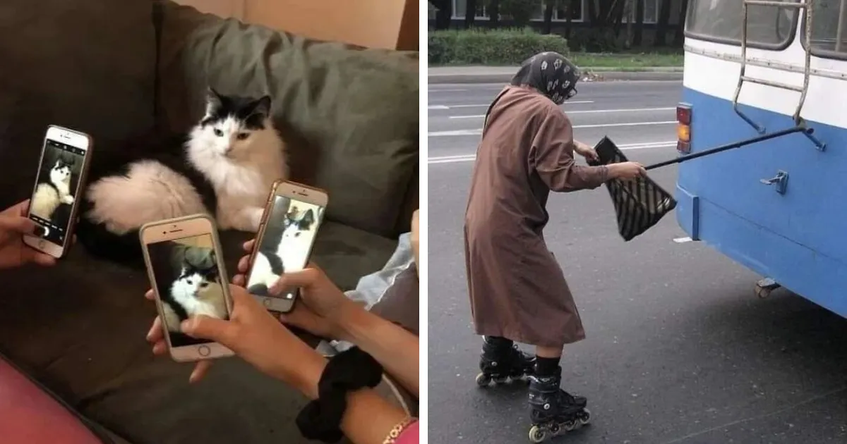 23 Momentos confusos de humanos haciendo cosas de humanos (nuevas fotos)