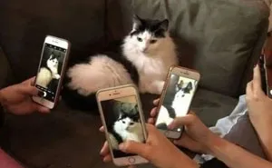 26 Random And Confusing Moments Of Humans Just Being Humans, As Shared On This Facebook Page (New Pics)
