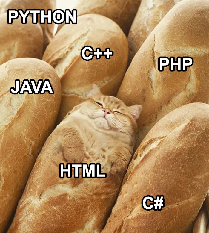 35 Jokes That Programmers Should Have No Trouble Relating To, As Shared In This Online Group