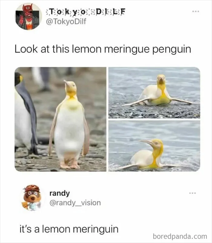 50 Relatable Funny Memes About Life Shared By Punsworld IG Page