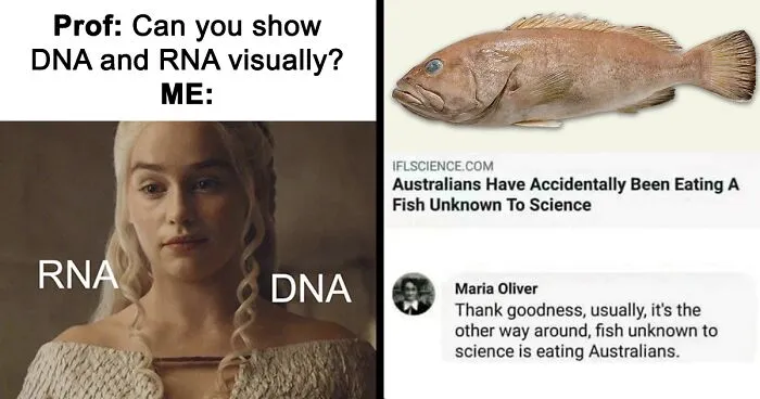 These 50 Science Memes Unite Brains With Chuckles And Result In A Good Time For All