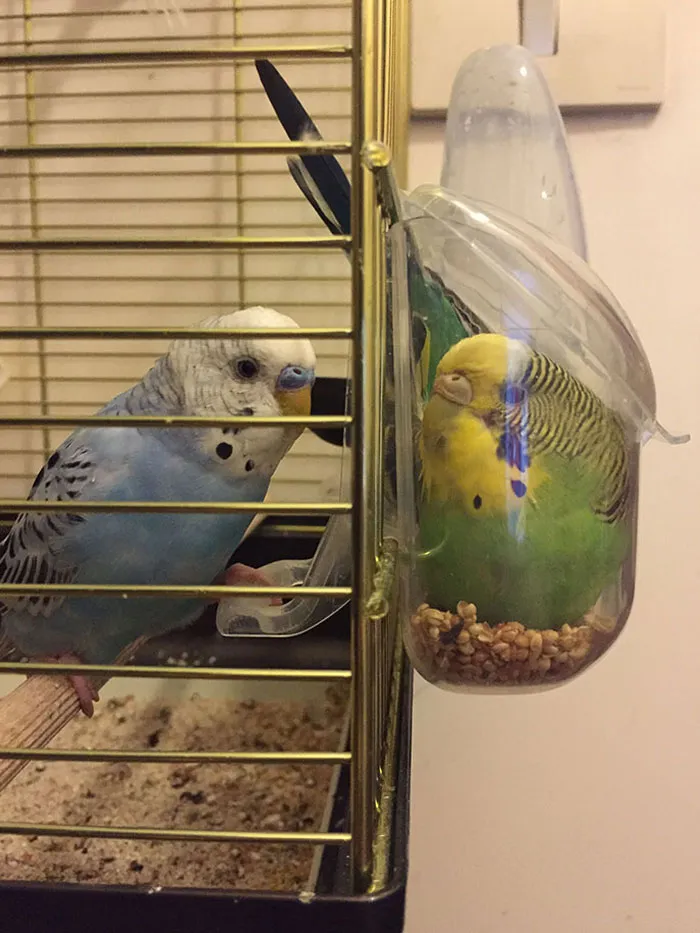So You're Stuck, Eh?