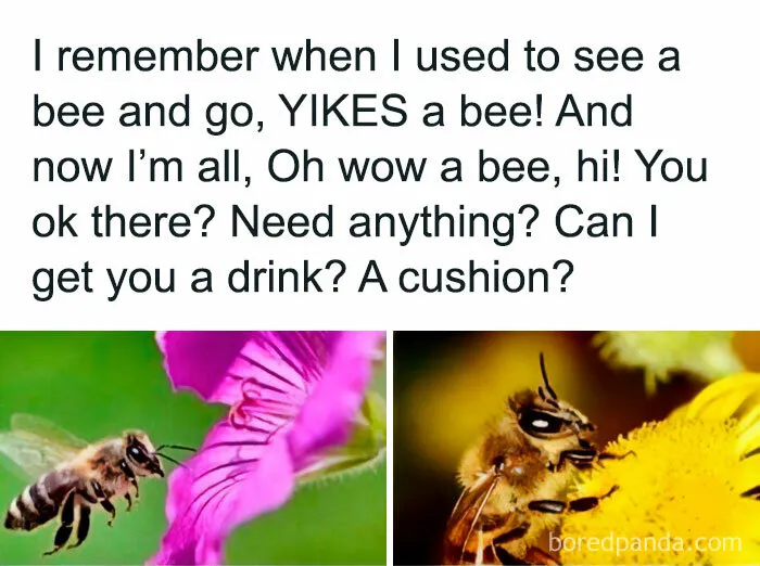 30 Hilarious Memes That Might Hit Too Close To Home For People Who Can't Just Go Past A Plant