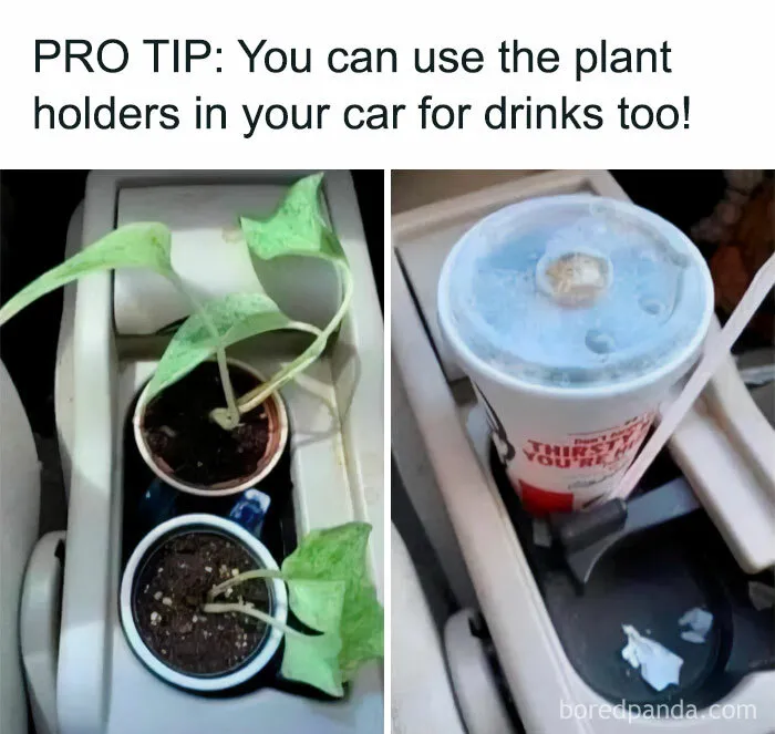 30 Hilarious Memes That Might Hit Too Close To Home For People Who Can't Just Go Past A Plant