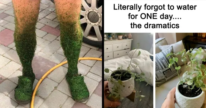 30 Hilarious Memes That Might Hit Too Close To Home For People Who Can't Just Go Past A Plant