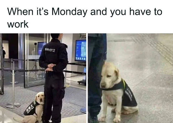 Monday Work Mode