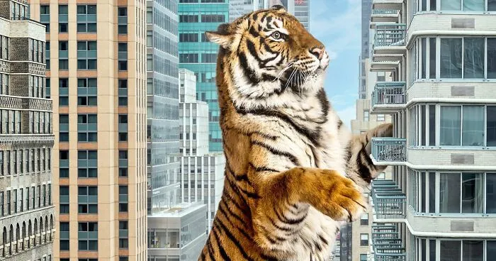 These Artists Create Surreal Photo Edits With Giant Animals In Them (16 Pics)