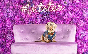 We Set Up A Photo Booth To Celebrate National Dachshund Day, And Here’s The Result (19 Pics)