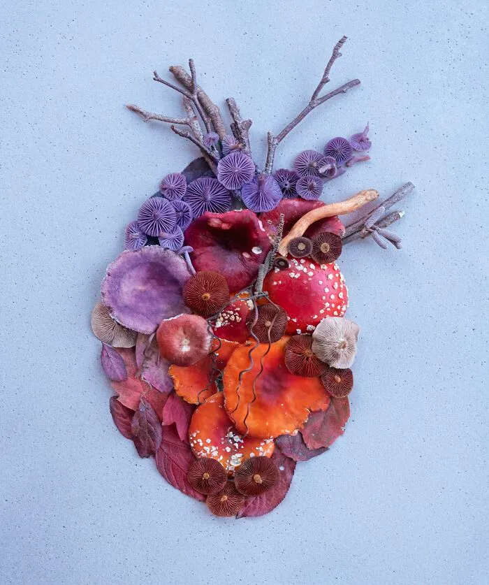 I Create Mushroom Flatlays, And Here Are My 40 Best Photographs Of Them