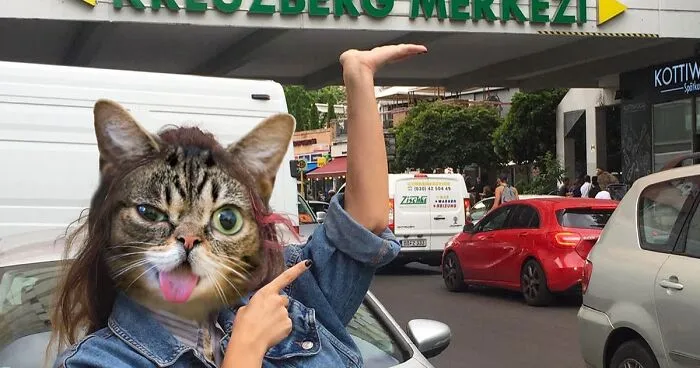This Artist Creates Peculiar Collages Featuring Cat Photos, And Here Are His 30 Best Works
