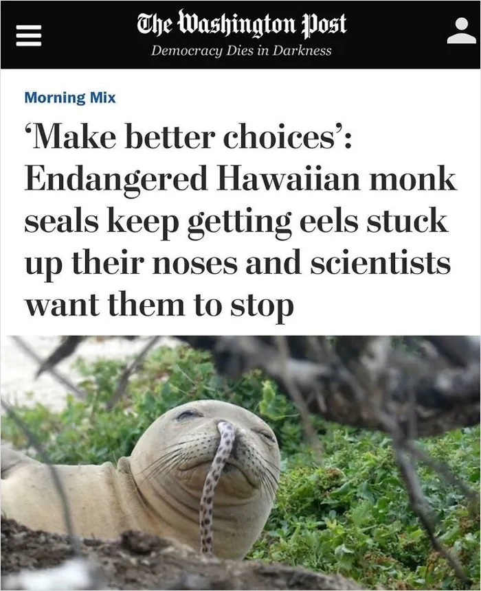Make Better Choices… Scientists Want Them To Stop