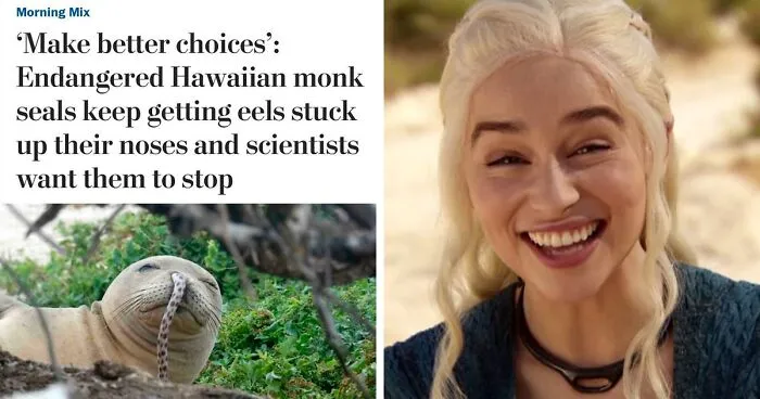 This Online Group Celebrates Sentences That Probably No One Has Ever Thought Of Before, Here Are 35 Of The Best (New Pics)