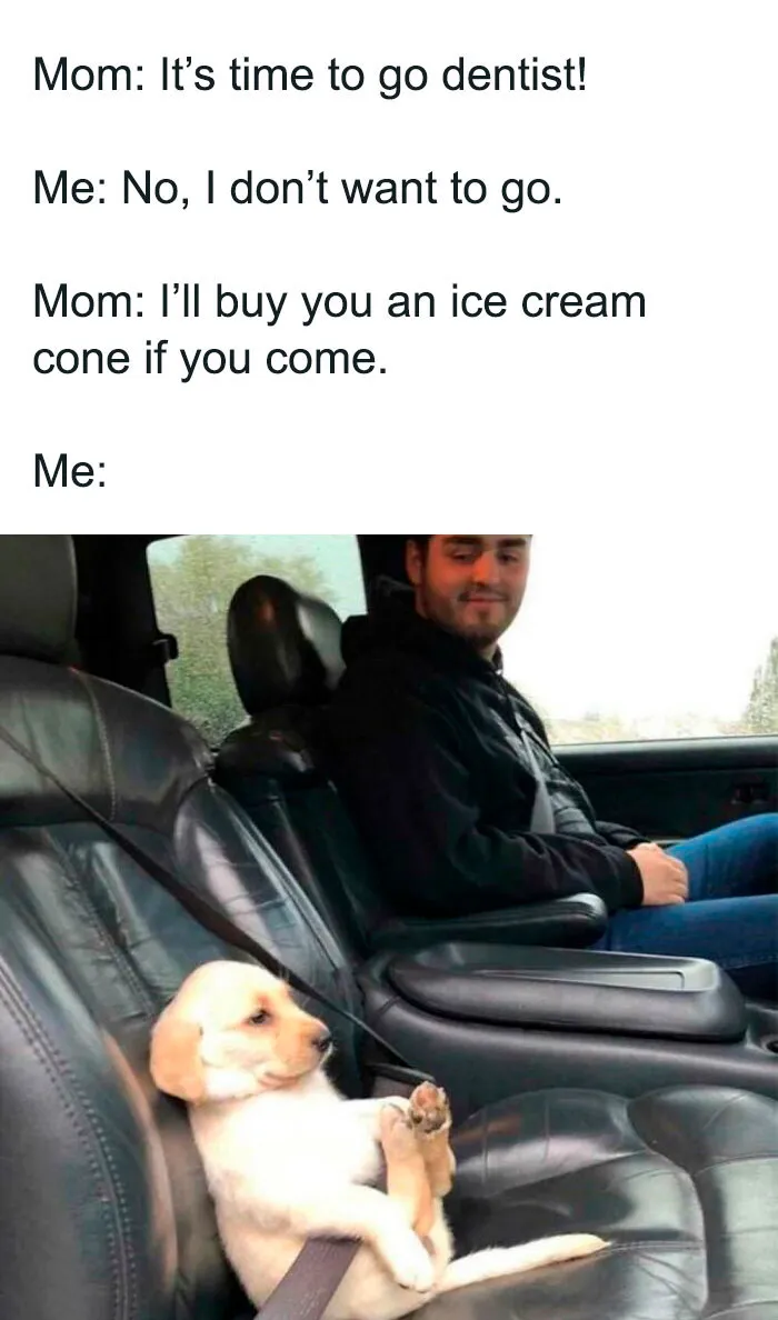Straight To The Car