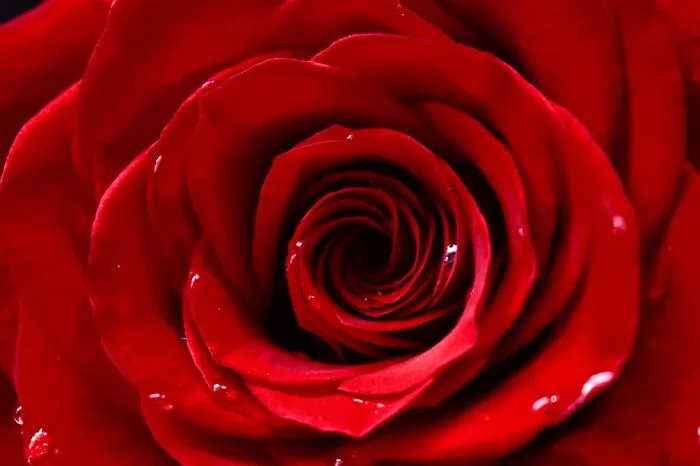 My First Macro