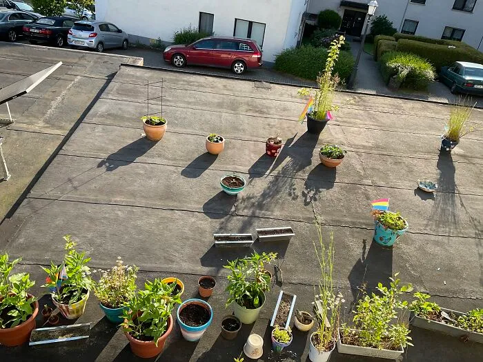 The Garages Next To My Garden