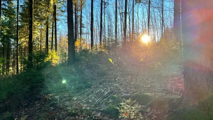 The Beauty Of Nature: 7 Photographs I Took