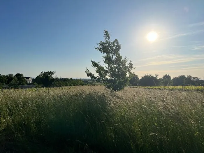 The Beauty Of Nature: 7 Photographs I Took