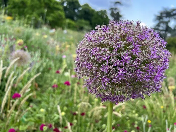 The Beauty Of Nature: 7 Photographs I Took