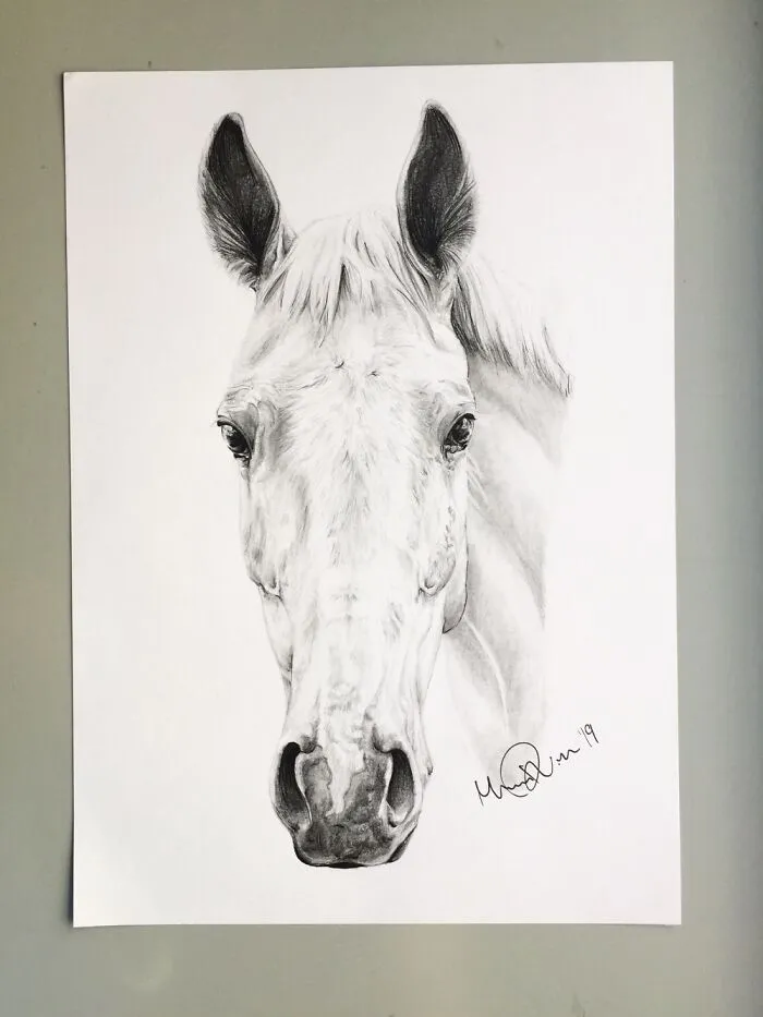 Didn’t Draw Horses In A While, Hope This Still Counts! (Made In 2019)