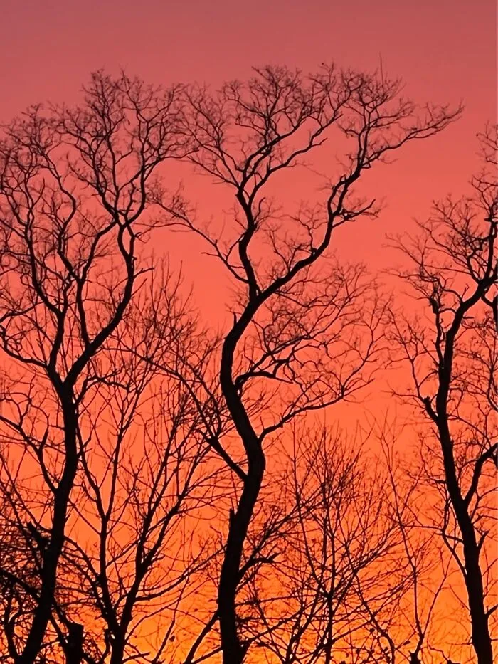 A Sunset Night