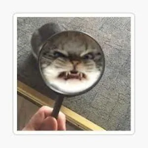 RemoteControlToast