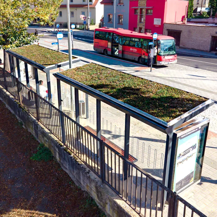 Green Roofs Contribute To The Reduction Of Dust In The Surrounding Area And Improve The Microclimate In Urbanized Areas Lacking Green Spaces