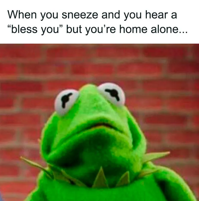 55 Kermit The Frog Memes That Might Make Your Day