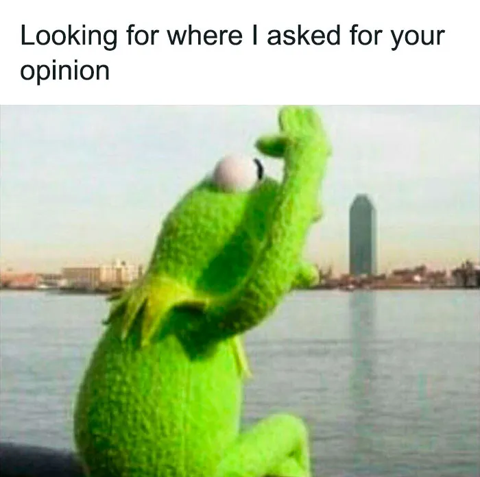 55 Kermit The Frog Memes That Might Make Your Day