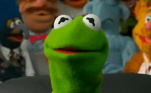 55 Kermit The Frog Memes That Might Make Your Day
