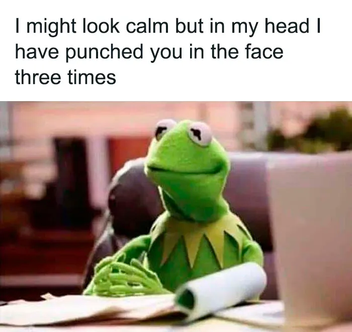 55 Kermit The Frog Memes That Might Make Your Day
