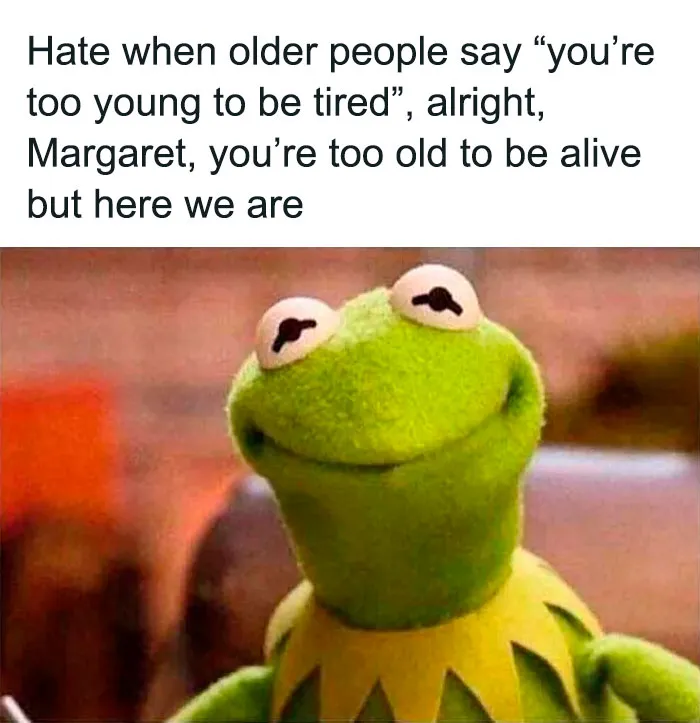55 Kermit The Frog Memes That Might Make Your Day