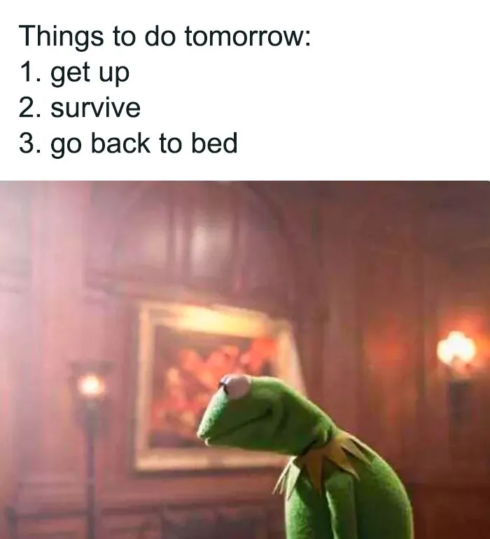 55 Kermit The Frog Memes That Might Make Your Day