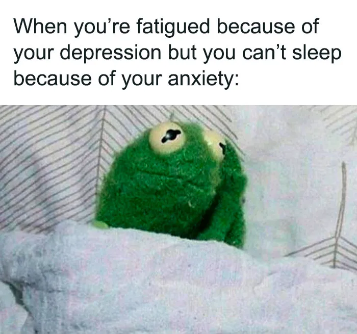55 Kermit The Frog Memes That Might Make Your Day