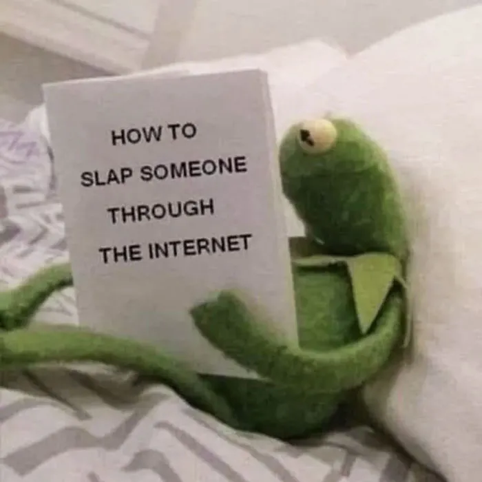 55 Kermit The Frog Memes That Might Make Your Day