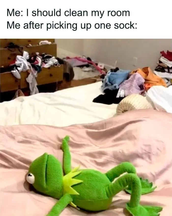 55 Kermit The Frog Memes That Might Make Your Day