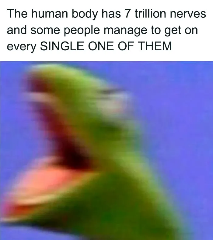 55 Kermit The Frog Memes That Might Make Your Day