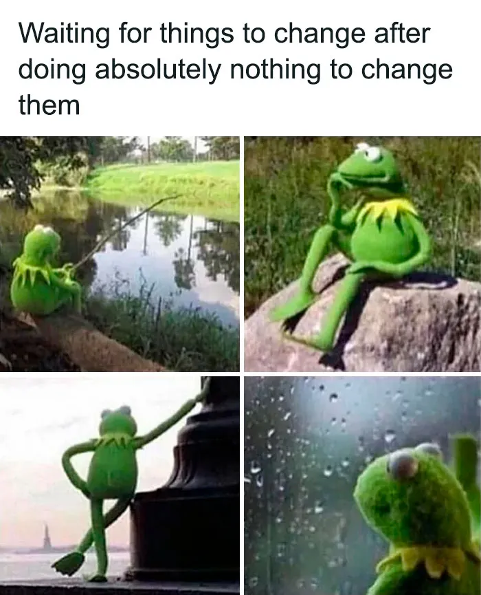 55 Kermit The Frog Memes That Might Make Your Day